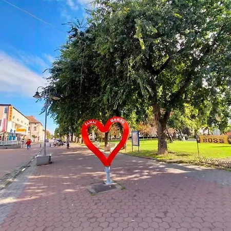 Celikovic アパート *