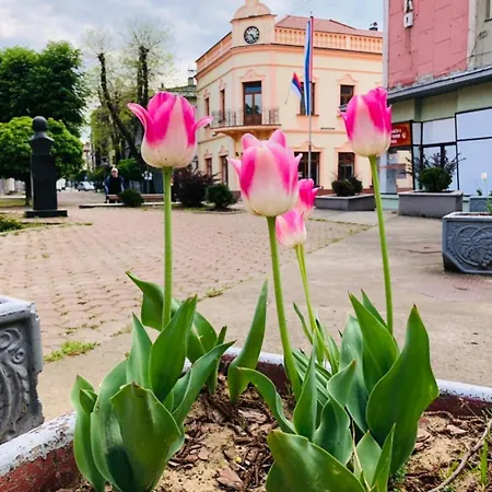 Apartman Celikovic Centar Samca, Parking, Balkon, Wifi *