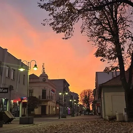 Celikovic アパート