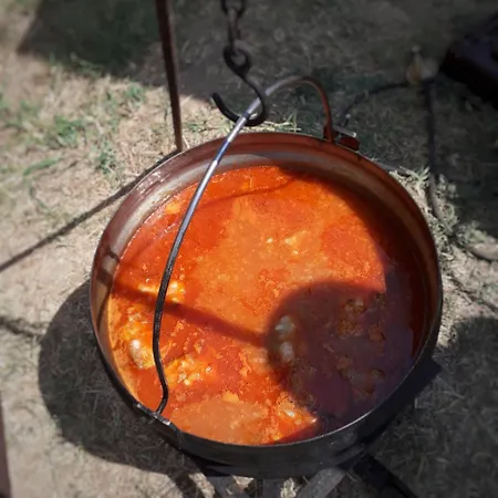 Celikovic アパート