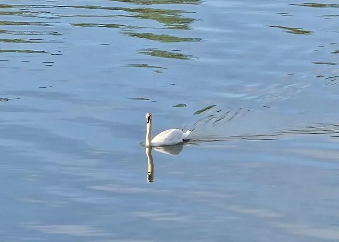 Celikovic Centar Samca, Parking, Balkon, Wifi דירה